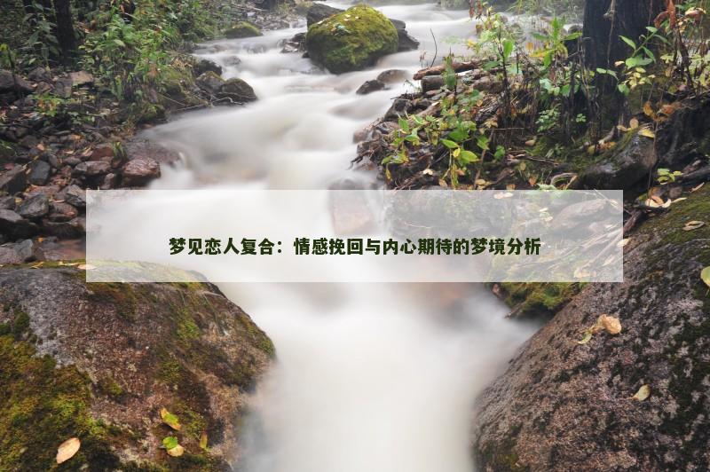 梦见恋人复合：情感挽回与内心期待的梦境分析