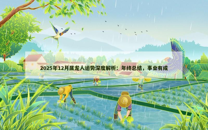 2025年12月属龙人运势深度解析：年终总结，事业有成