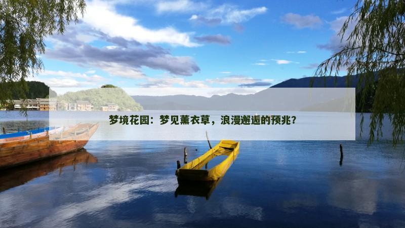 梦境花园：梦见薰衣草，浪漫邂逅的预兆？