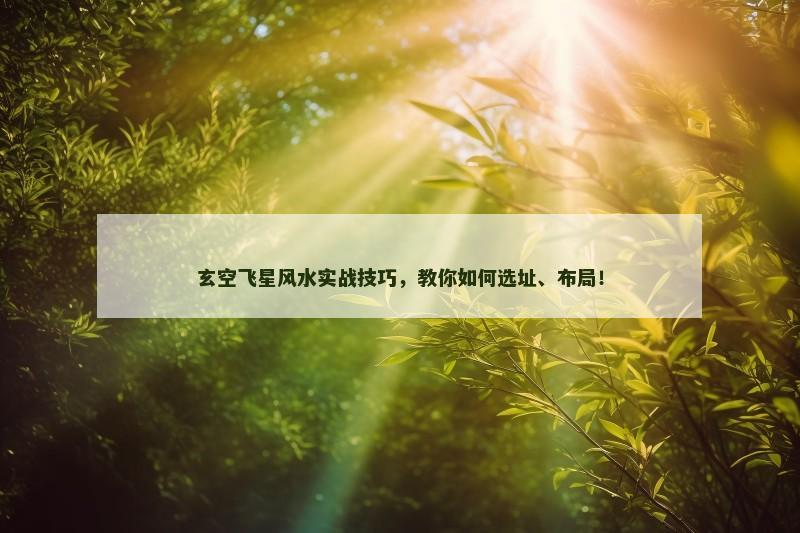 玄空飞星风水实战技巧，教你如何选址、布局！