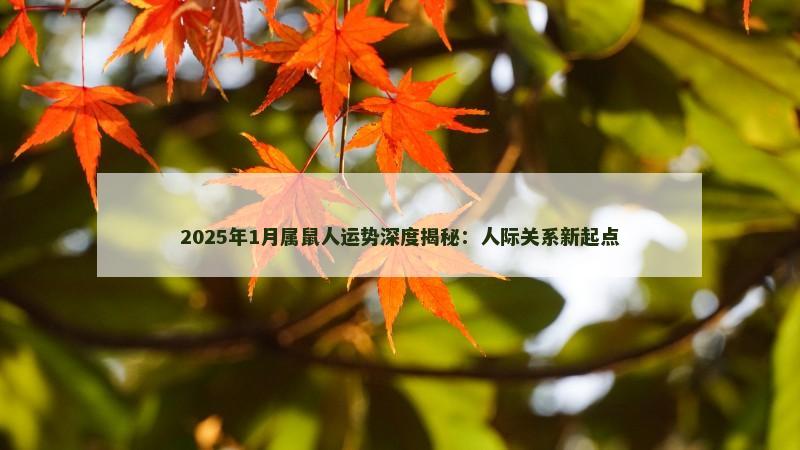 2025年1月属鼠人运势深度揭秘：人际关系新起点