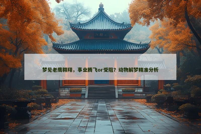 梦见老鹰翱翔，事业腾飞or受阻？动物解梦精准分析