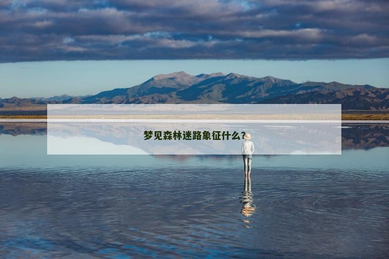 梦见森林迷路象征什么？