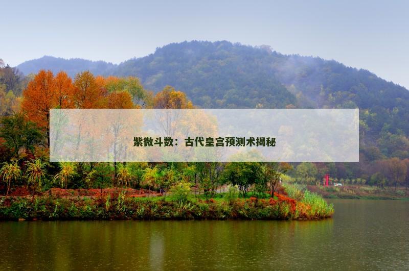 紫微斗数：古代皇宫预测术揭秘