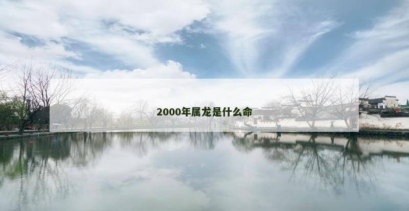 2000年属龙是什么命