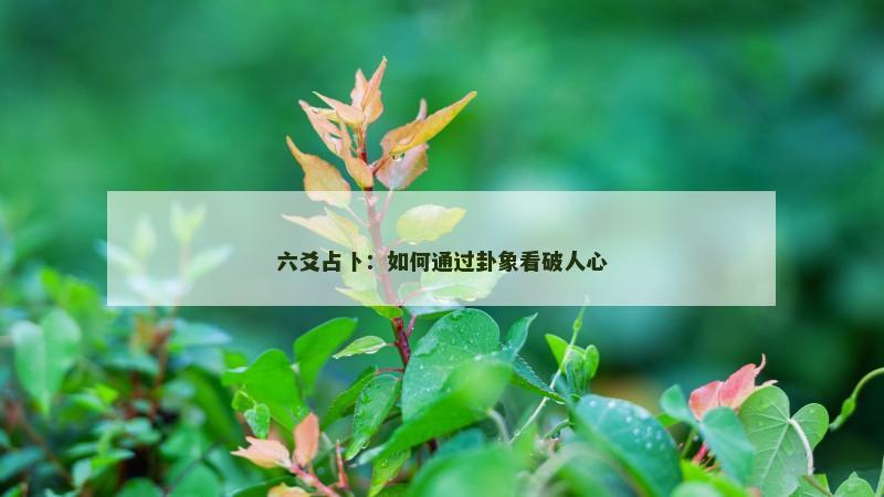 六爻占卜：如何通过卦象看破人心