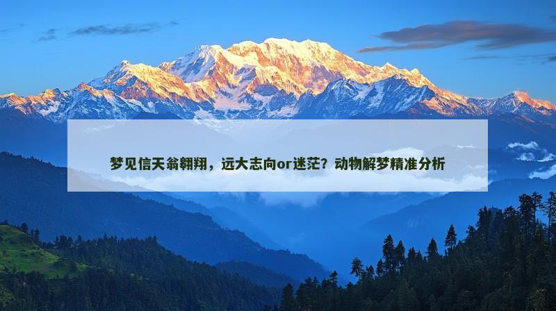 梦见信天翁翱翔，远大志向or迷茫？动物解梦精准分析