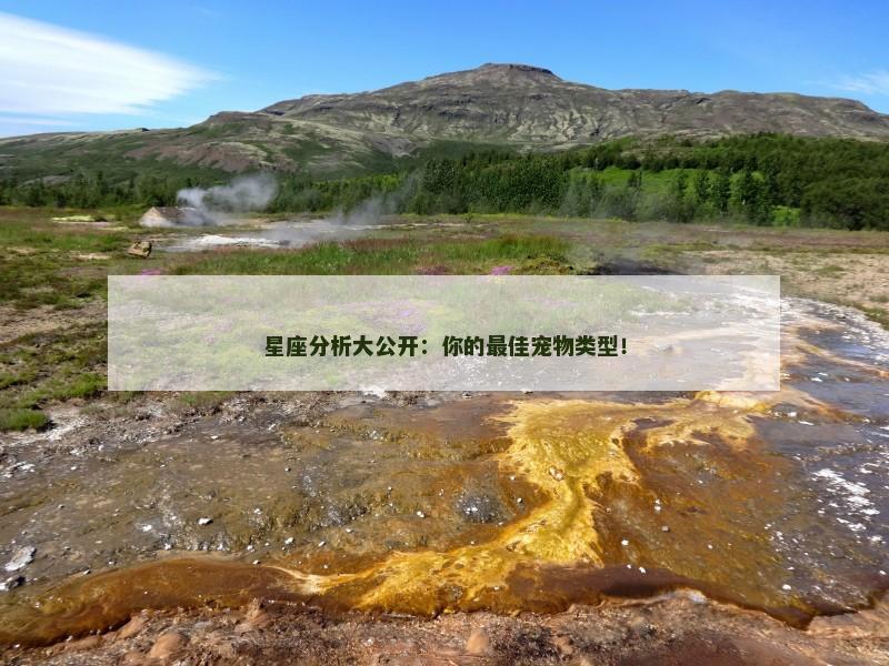 星座分析大公开：你的最佳宠物类型！