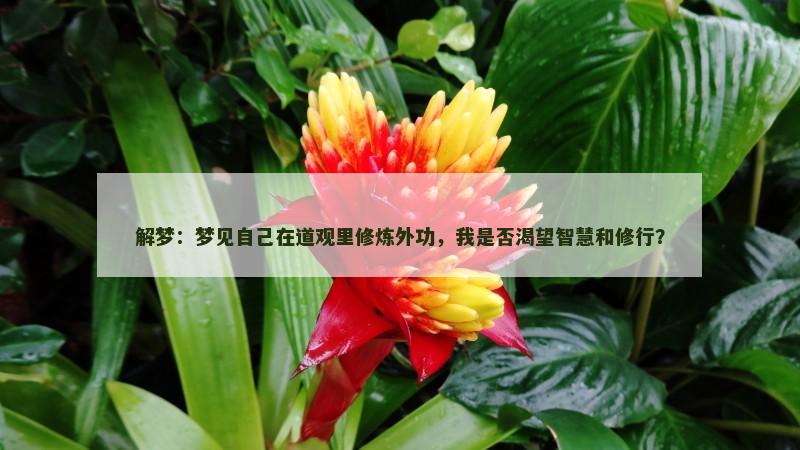 解梦：梦见自己在道观里修炼外功，我是否渴望智慧和修行？