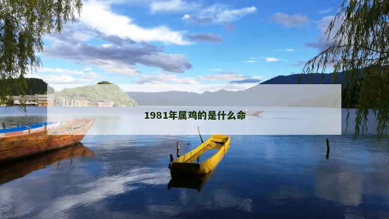 1981年属鸡的是什么命
