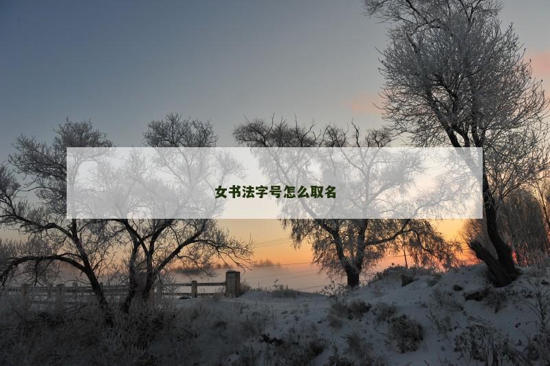 女书法字号怎么取名