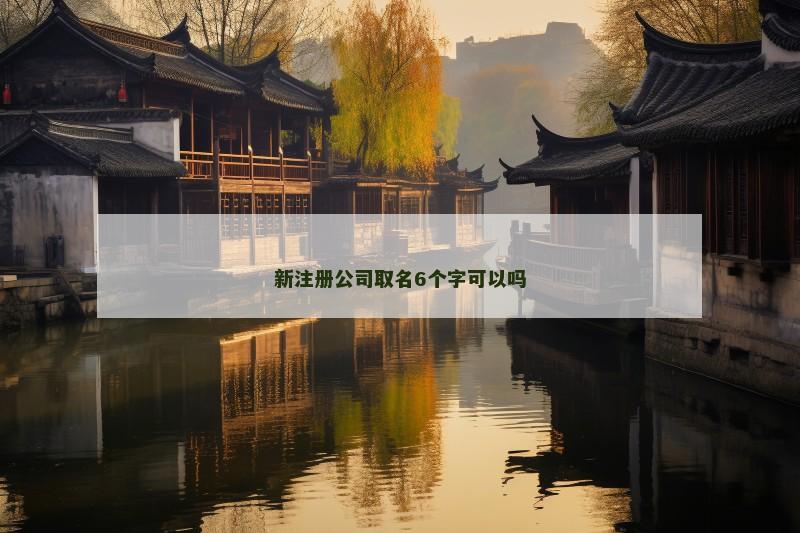 新注册公司取名6个字可以吗