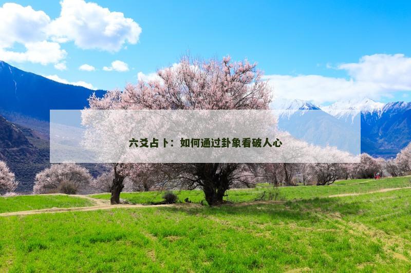 六爻占卜：如何通过卦象看破人心