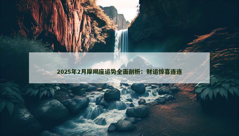 2025年2月摩羯座运势全面剖析：财运惊喜连连