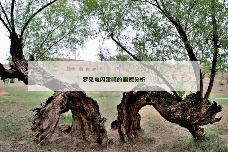 梦见电闪雷鸣的震撼分析
