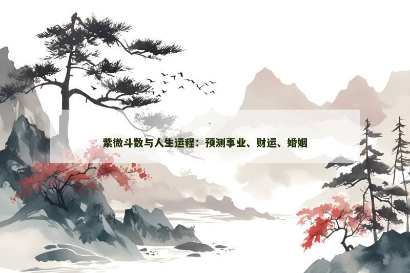 紫微斗数与人生运程：预测事业、财运、婚姻