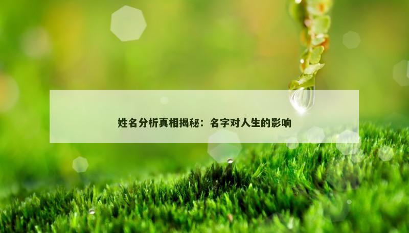 姓名分析真相揭秘：名字对人生的影响