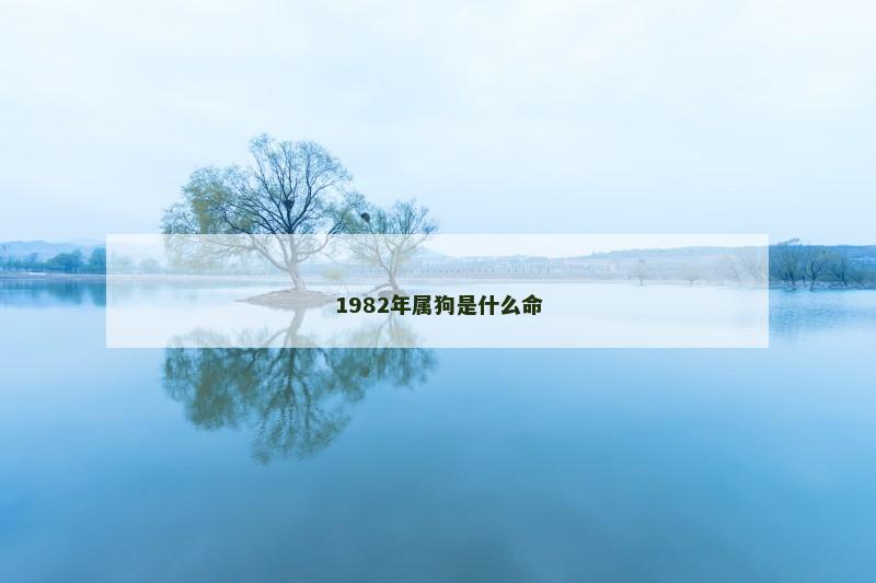 1982年属狗是什么命