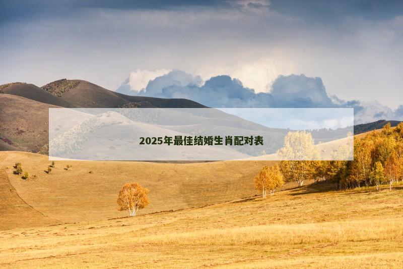 2025年最佳结婚生肖配对表