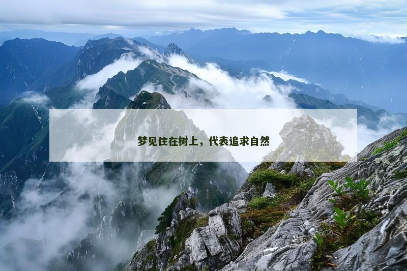梦见住在树上，代表追求自然