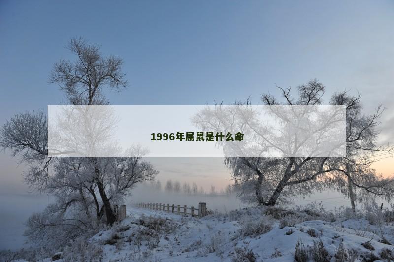 1996年属鼠是什么命