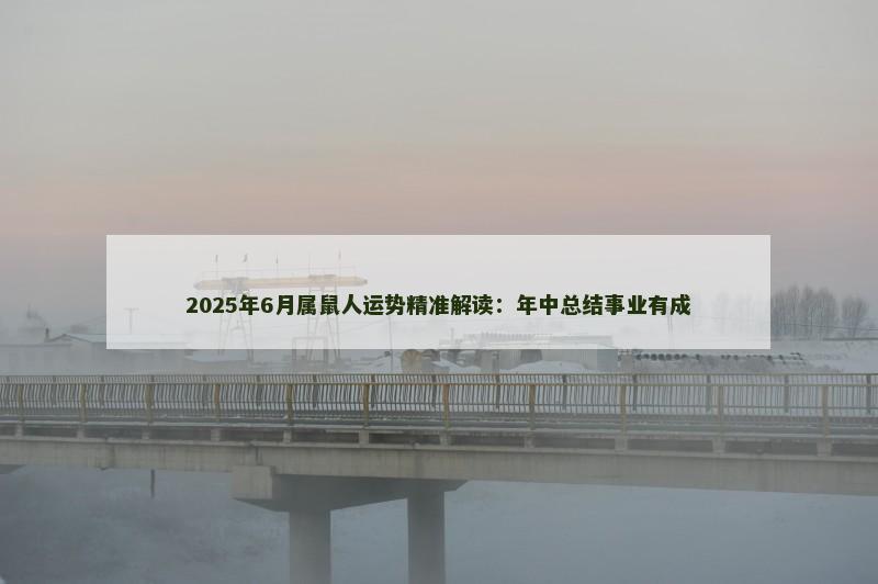2025年6月属鼠人运势精准解读：年中总结事业有成
