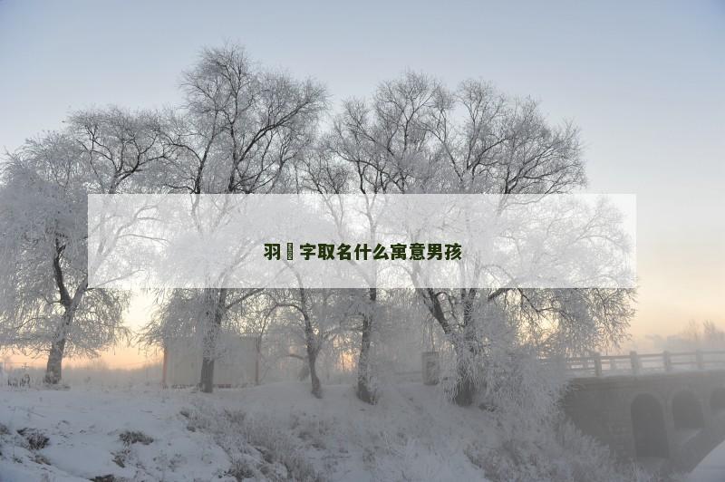 羽燊字取名什么寓意男孩