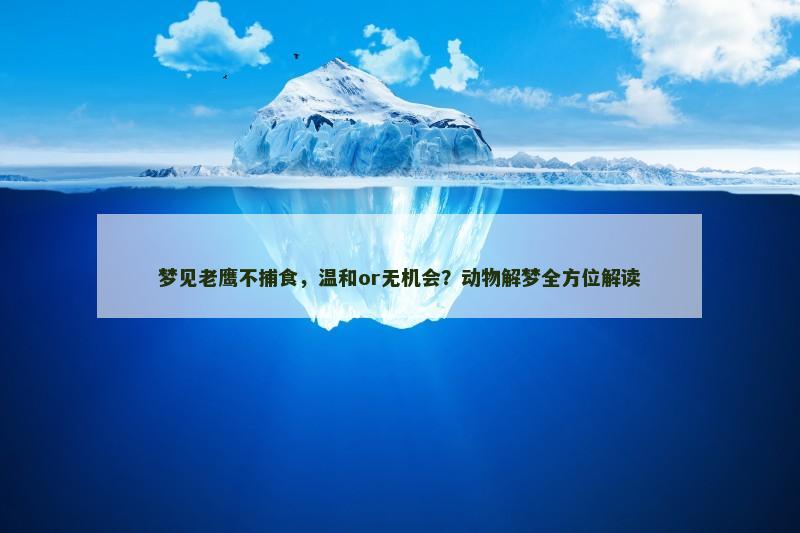 梦见老鹰不捕食，温和or无机会？动物解梦全方位解读