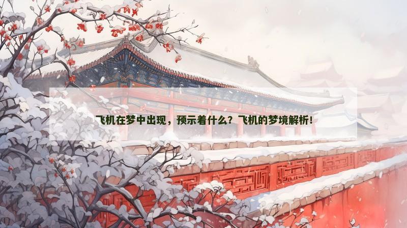 飞机在梦中出现，预示着什么？飞机的梦境解析！