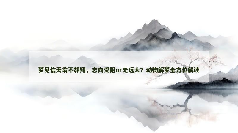 梦见信天翁不翱翔，志向受阻or无远大？动物解梦全方位解读