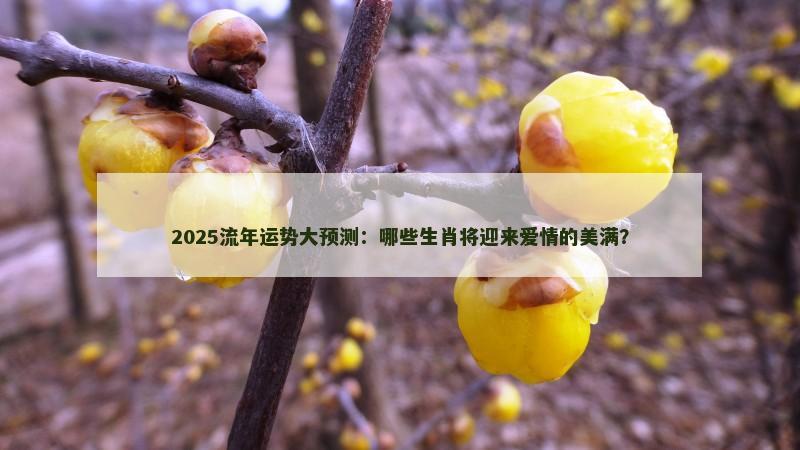 2025流年运势大预测：哪些生肖将迎来爱情的美满？