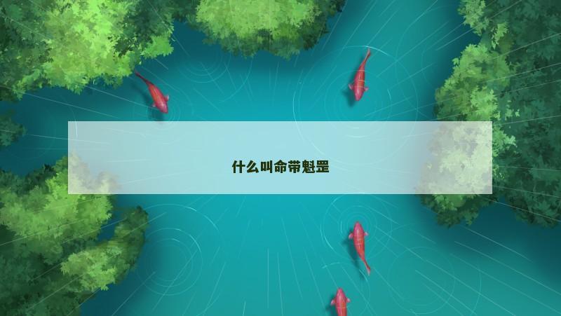 什么叫命带魁罡