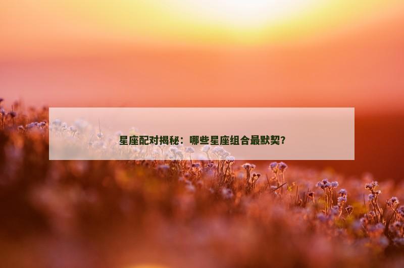 星座配对揭秘：哪些星座组合最默契？