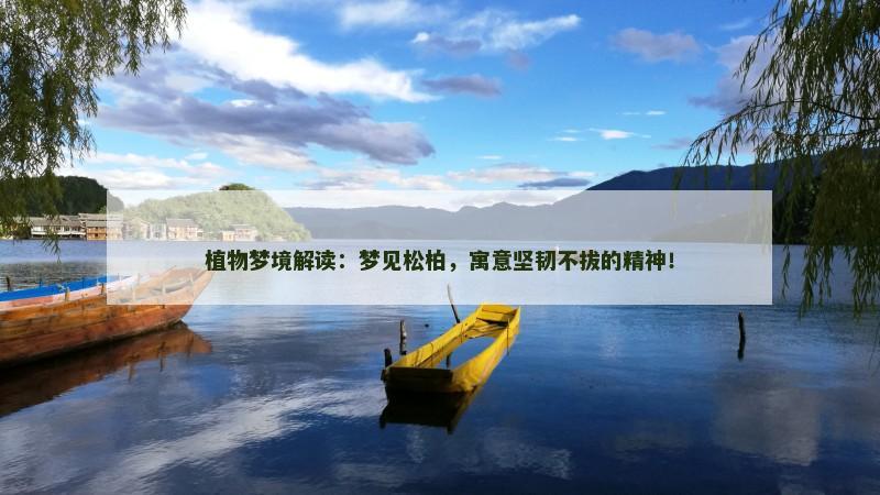 植物梦境解读：梦见松柏，寓意坚韧不拔的精神！
