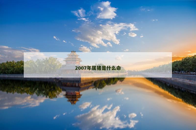 2007年属猪是什么命