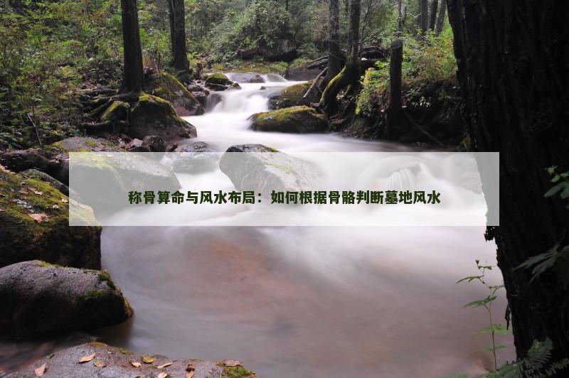 称骨算命与风水布局：如何根据骨骼判断墓地风水
