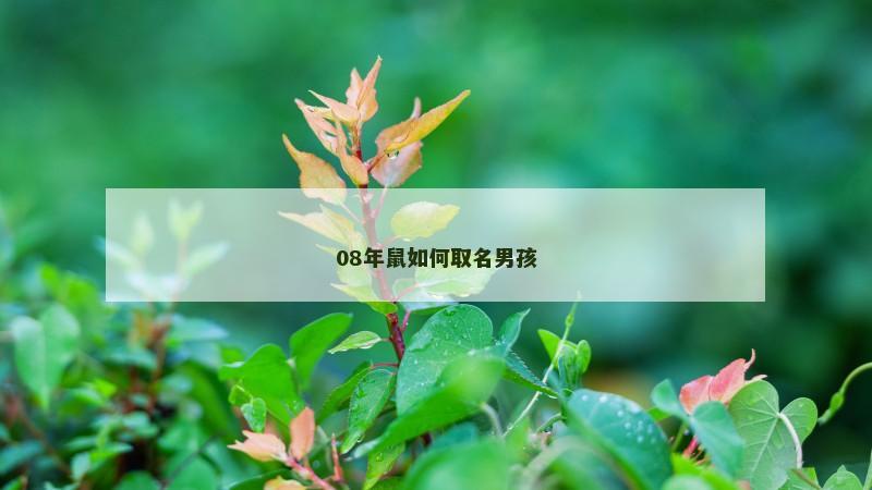 08年鼠如何取名男孩
