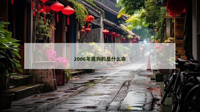 2006年属狗的是什么命