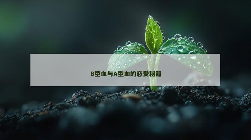B型血与A型血的恋爱秘籍