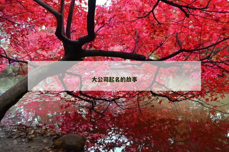 大公司起名的故事
