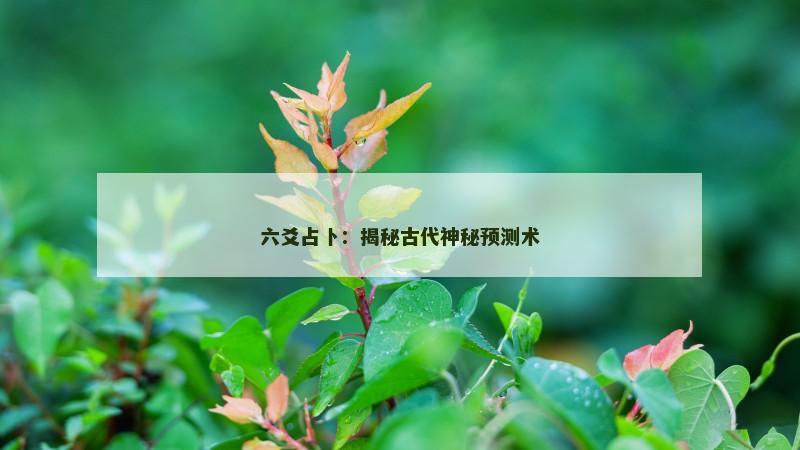 六爻占卜:揭秘古代神秘预测术