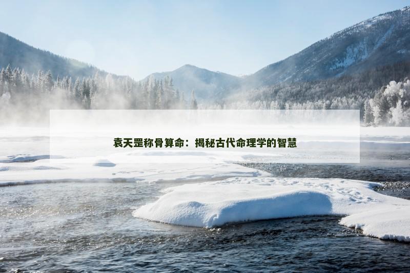 袁天罡称骨算命：揭秘古代命理学的智慧