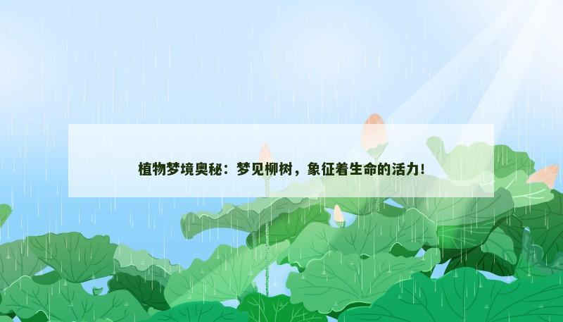 植物梦境奥秘：梦见柳树，象征着生命的活力！