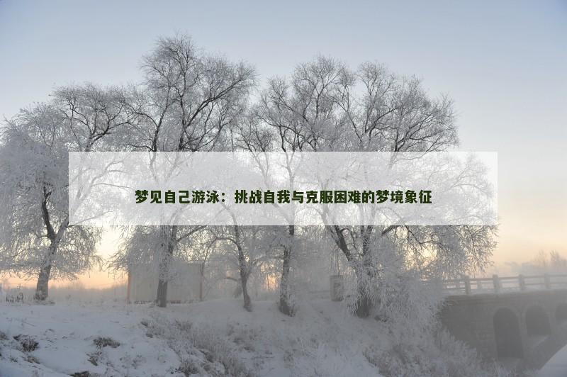 梦见自己游泳：挑战自我与克服困难的梦境象征