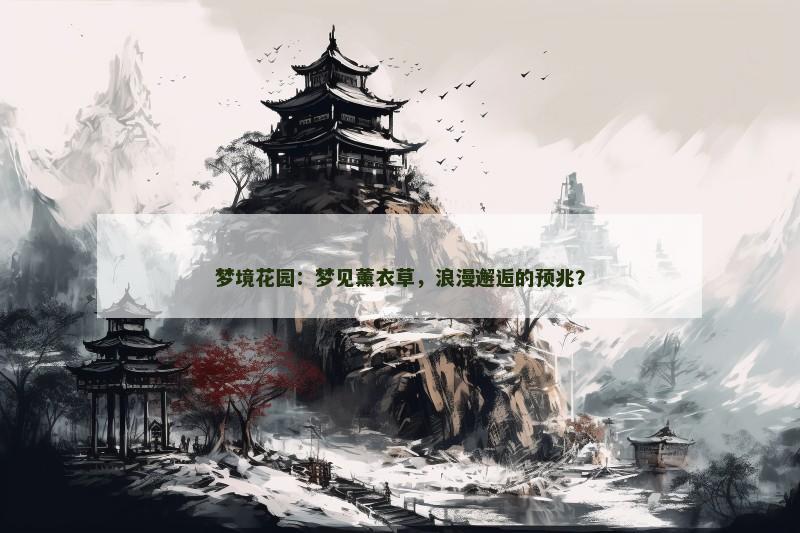 梦境花园：梦见薰衣草，浪漫邂逅的预兆？