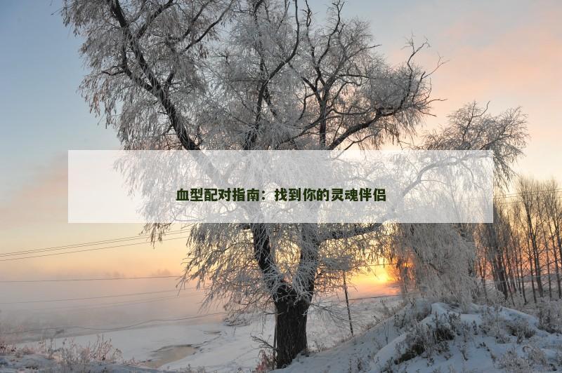 血型配对指南：找到你的灵魂伴侣