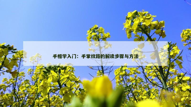 手相学入门：手掌纹路的解读步骤与方法
