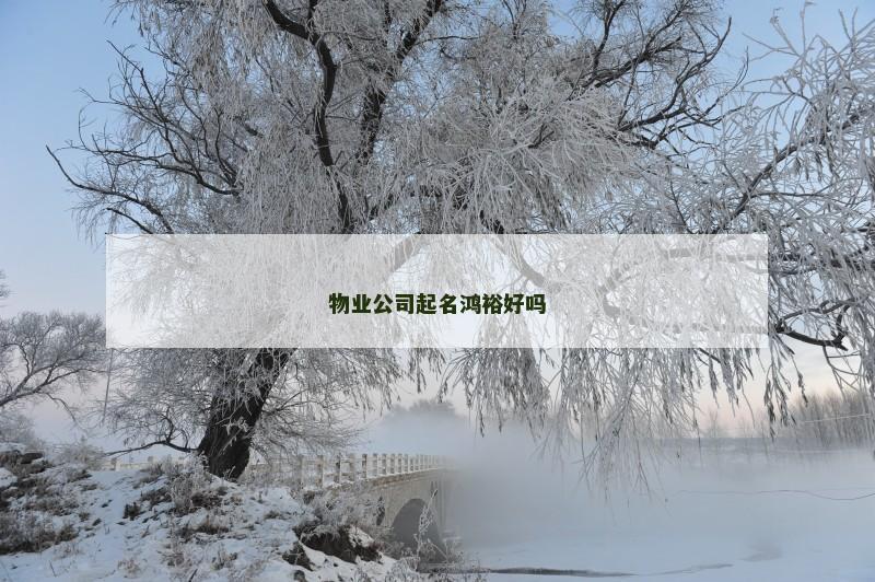 物业公司起名鸿裕好吗