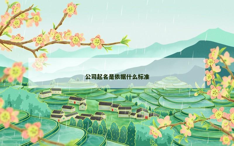 公司起名是依据什么标准