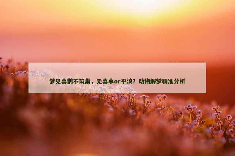 梦见喜鹊不筑巢，无喜事or平淡？动物解梦精准分析